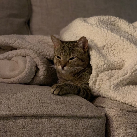 Meet your Posher, Halie - Picture 1 of 1